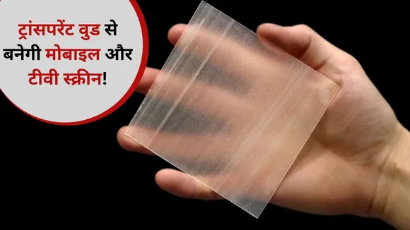 What Is Transparent Wood