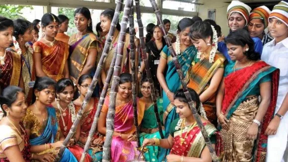pongal_festival