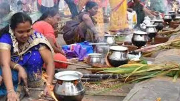 Pongal 2024