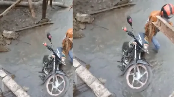 viral video