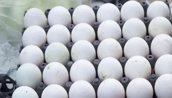Original Egg