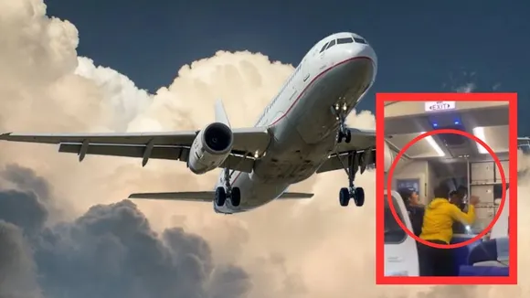 Viral passenger and Captain fight Video