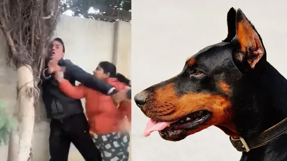 viral video
