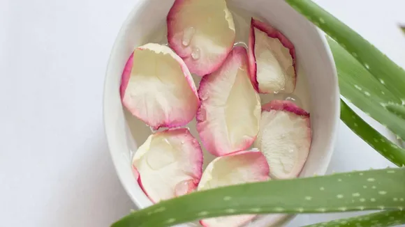 Skin care Tips