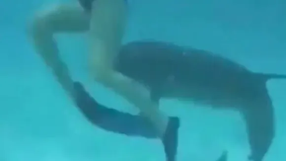 viral video