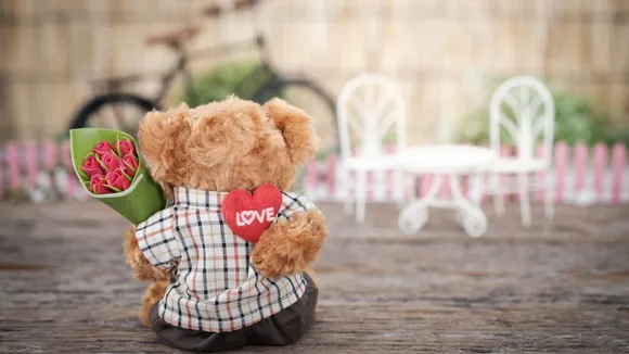 Teddy Day history