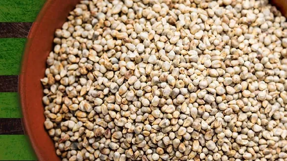 Millet Eating