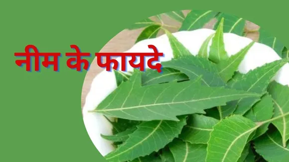 Neem Benefits