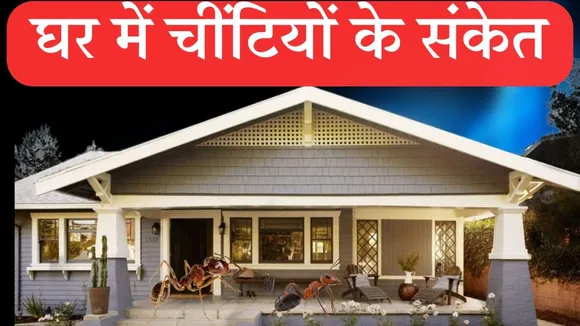 significance of ant in home  1