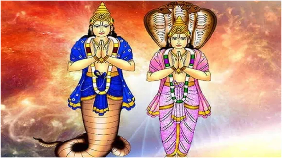 Vastu Tips For Rahu Ketu