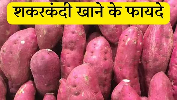 Sweet Potato Benefits