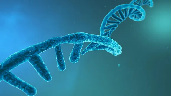 What is RNA