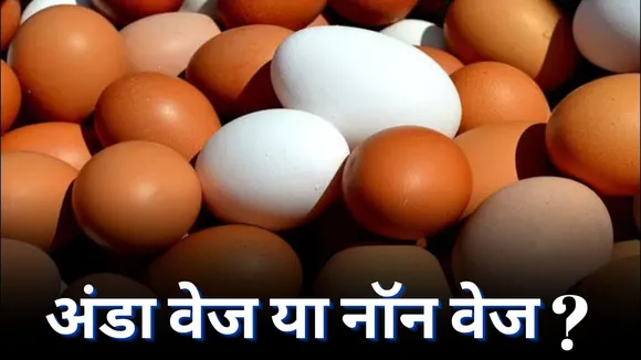 Egg Veg or Non Veg