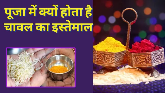 Know What is the importance of rice in Sanatan Dharm