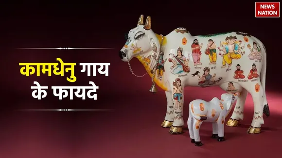 Kamdhenu cow Benefits
