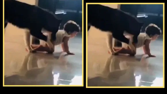 viral video