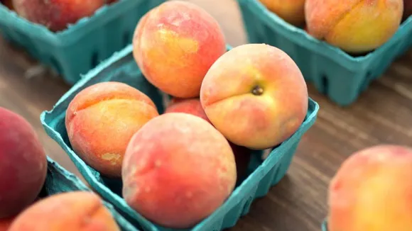 Benefits of eating peach fruit