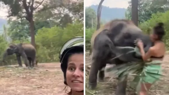 viral