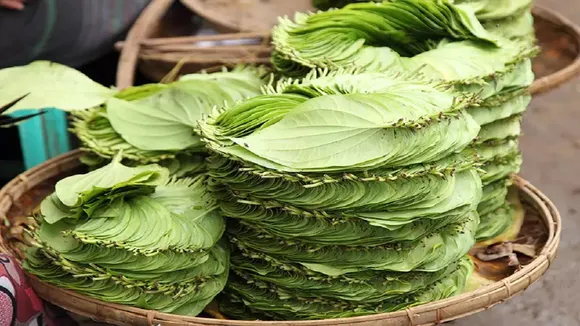 paan
