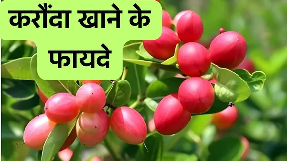Benefits Of Karonda