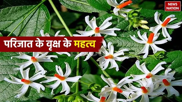 Parijat Significance