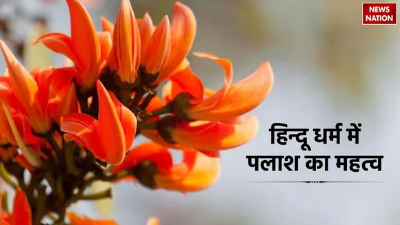Palash Flower Significance