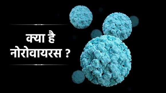 Stomach Flu novovirus infection that effects your intestine