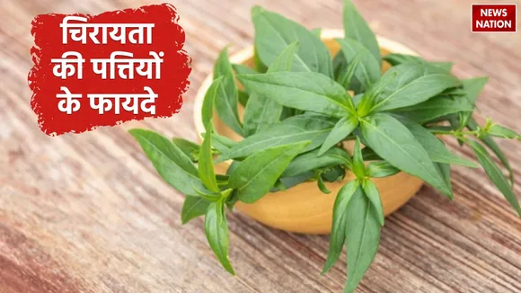 Chirata Benefits