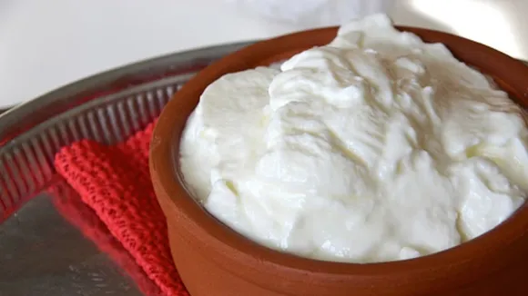 Eating Curd