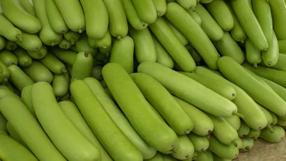 Benefits Of Bottle Gourd