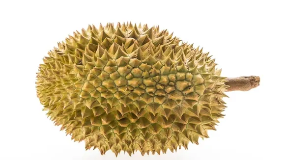Benefits of eating jackfruit