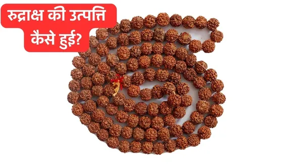 Birth of rudraksha story