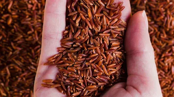 Brown Rice Benefits