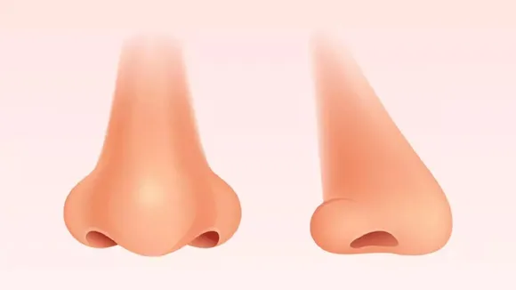 Secrets Of Nose