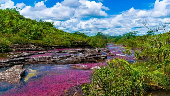 Cano Cristales River