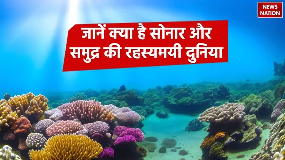Sonar mysterious world in the depths of the sea