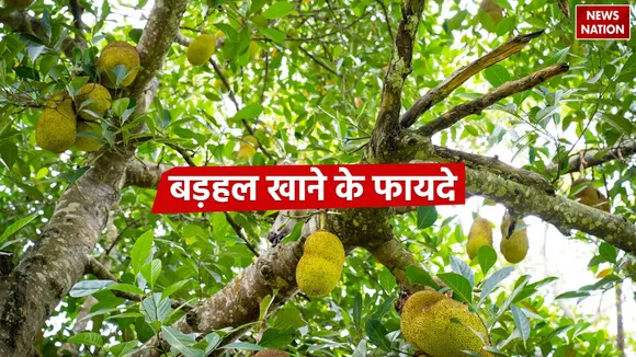 Badhal Health Benefits