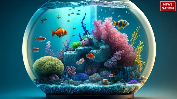 aquarium