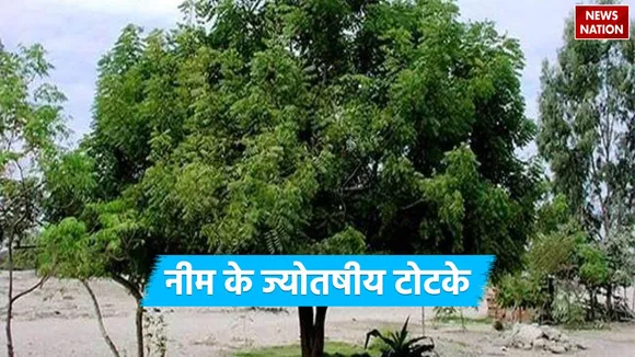 Neem Ke Upay