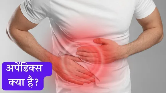 Appendix