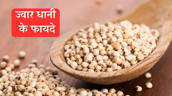 Jowar Dhani Benefits