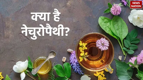 what is naturopathy