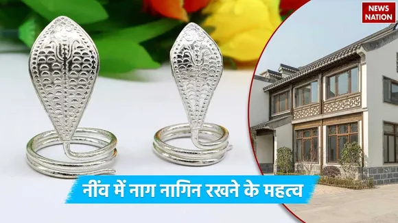 Silver snakes pair in home foundation