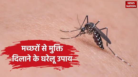 Mosquito Home Remedies