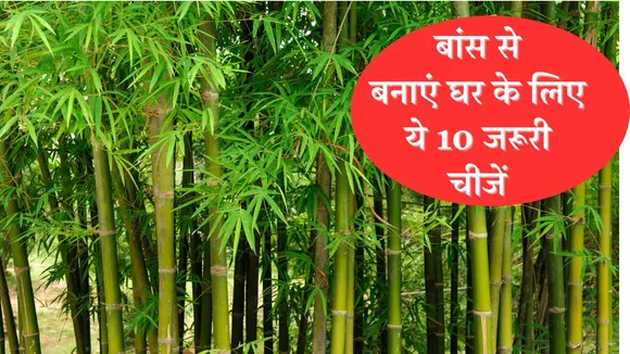 WhatsApp Image 2024 04 07 at 2 42 19 PM