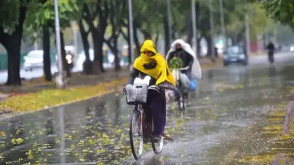 Rain Alert
