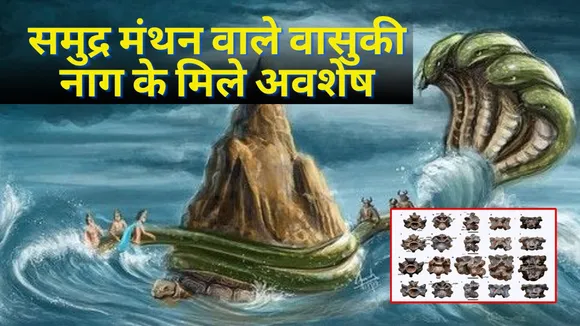 IIT Roorkee Scientist Confirm Existence of Vasuki Naag