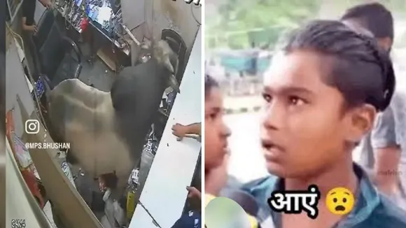 Viral Video