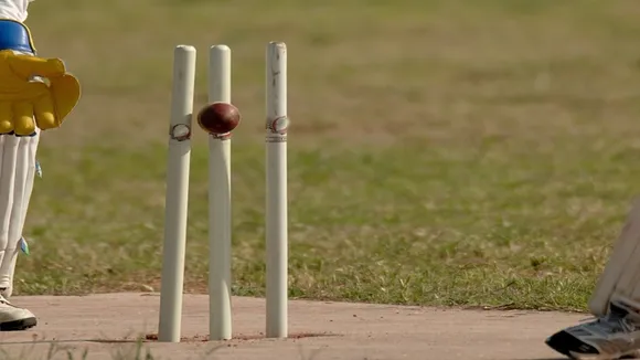 Ducks In Cricket