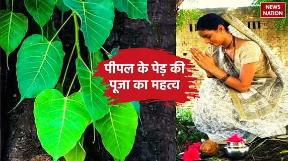 importance of worship peepal tree on mohini ekadashi